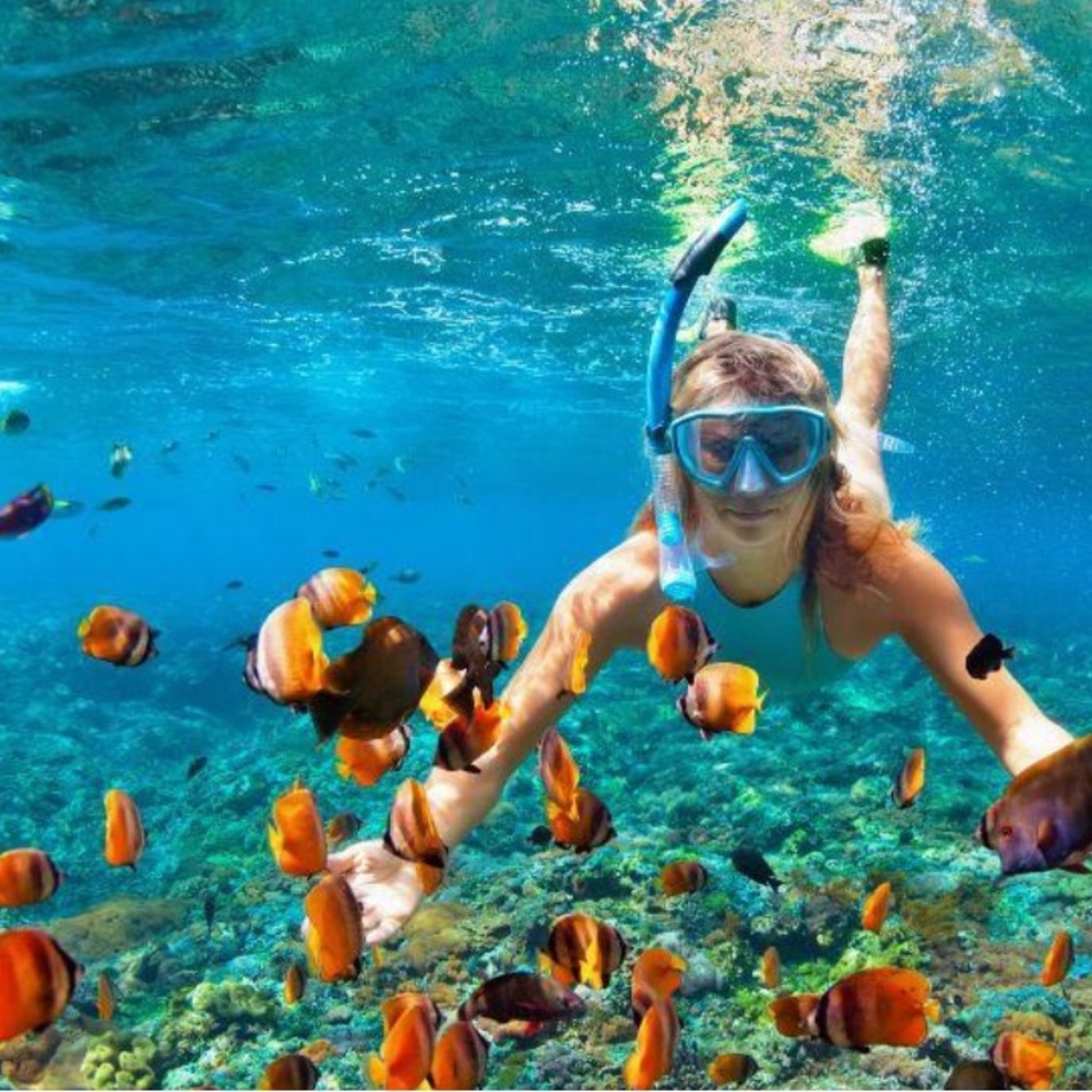 U.S. Divers Fin Set - sz S/M